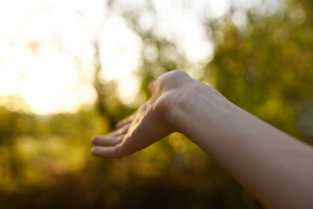 istock female hand nature park summer trees sun green grass 2102377759