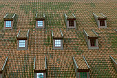 The Great Mill in Gdansk, Poland. Beautiful unusual roof with small windows.