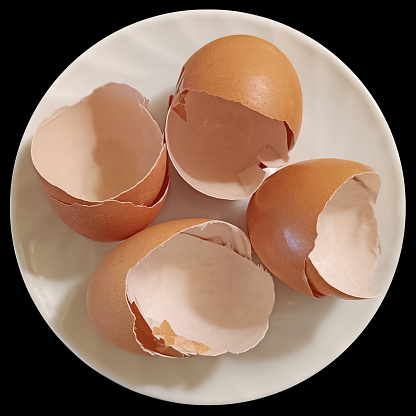 Four crushed empty chicken eggs shells on white ceramic plate, isolated on black background, viewed directly above.