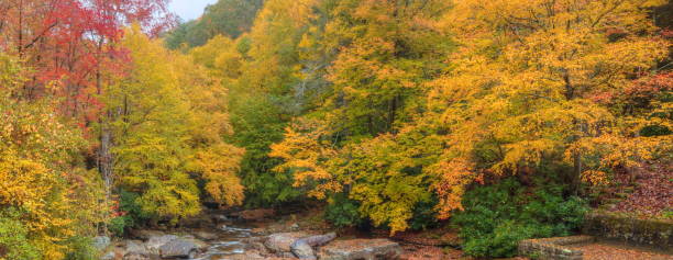 istock Autumn In West Virginia 2102397306