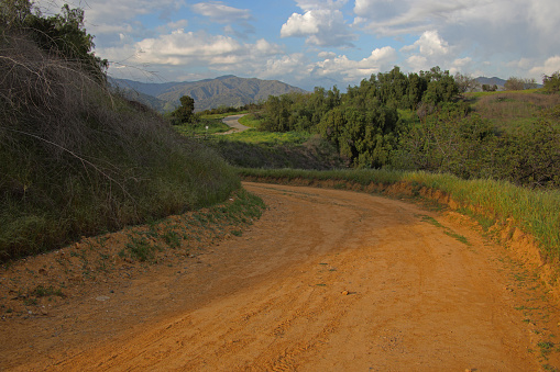 The South Hills Backbone Road winds along the hilly crest and peppertrees with the San Gabriel Mountains and partly clouded sky for the background.