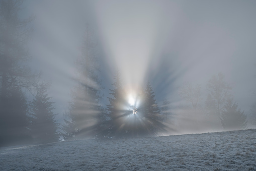 Sunrise in the winter forest with fog and sunbeams.