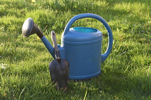 blue watering can and a black shovel in the grass