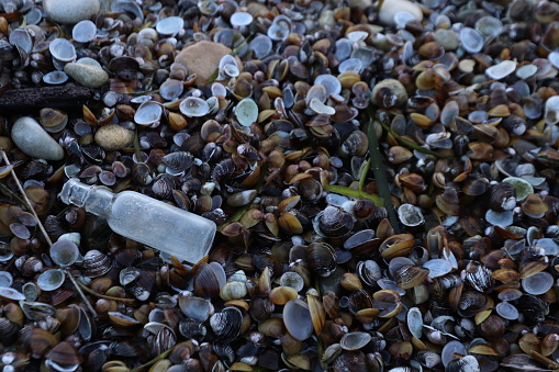 A Little bottle on the beach After a storm