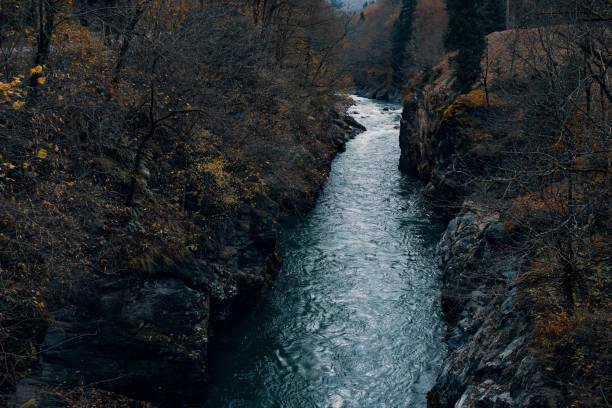 rocky mountains river nature top view travel fresh air. High quality photo