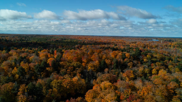 istock Fall trees with a river in the distance 2102440740