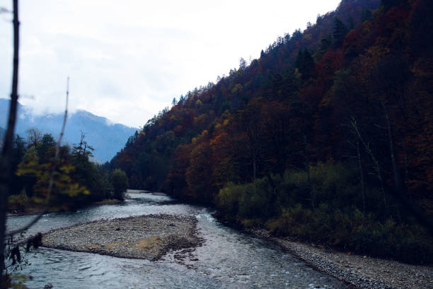 high forest mountains autumn river beautiful landscape. High quality photo