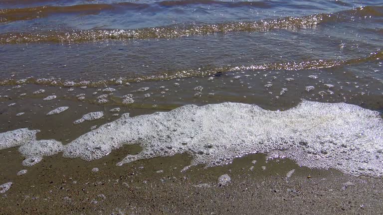 Foam on the lake shore due to dirty water, eutrophication of natural waters, ecology of lakes