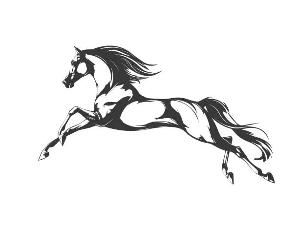 Vector illustration of A horse rushes forward, black and white vector illustration