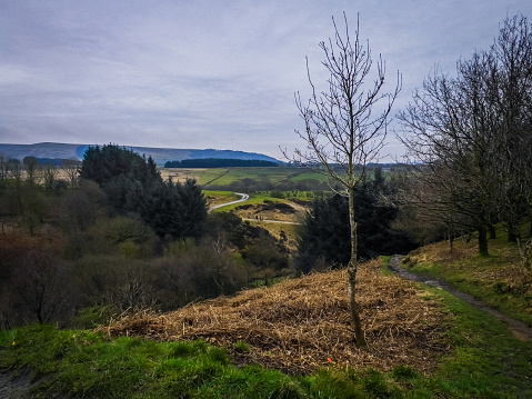 A photograph of Lancashire countryside looking towards Rivington Pike Tower in the West Pennines, Lancashire, England. The photograph was produced on an overcast day.
