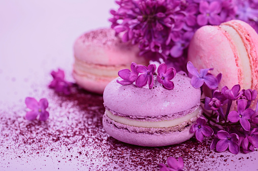 Close up of Pastel colored sweet french macaroons with lilac flowers and splash of dry blueberry powder on pink background. Beautiful composition for bakery and pastry shop