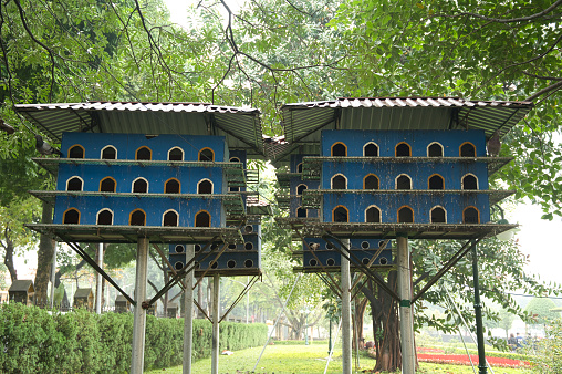 Tranquil Aviary Abode: Capturing the Serenity of a Pigeon Condo Amidst Nature's Embrace in the Heart of a Park