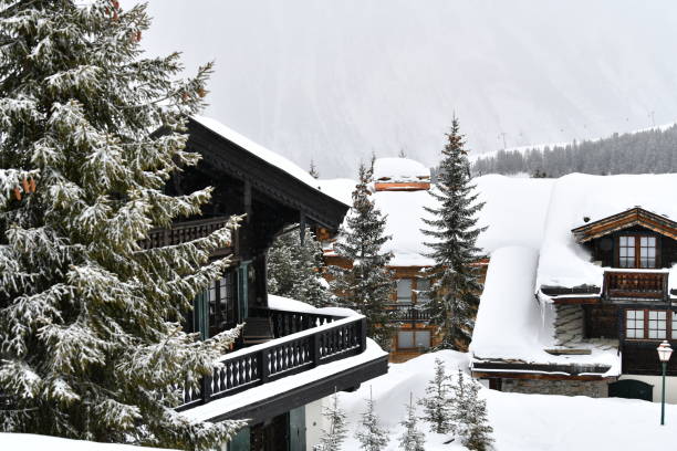 istock Winter scenery on a snowy day 2102568919