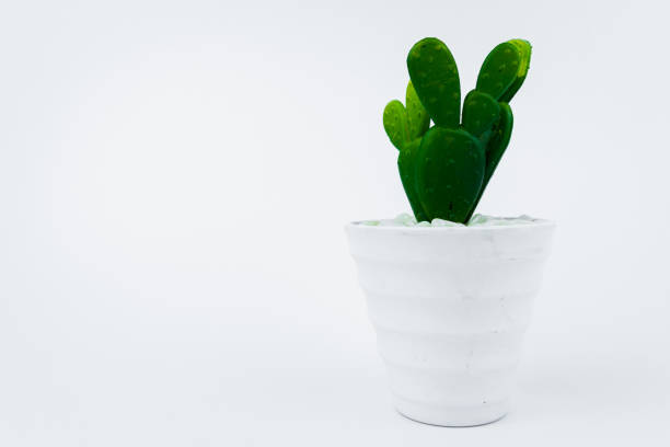 Small fake flower pot on white background