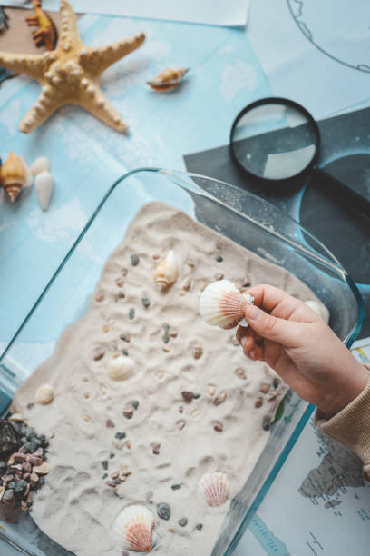 istock Idea for an activity with a child with sand and shells, learning geography 2102609364