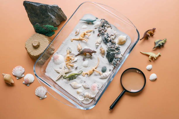 istock Sensory activity of a child, idea for an activity, top view 2102619577