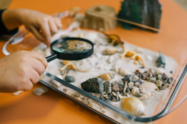 istock Sensory bin for child's play close-up, dinosaur and shells excavation 2102619581