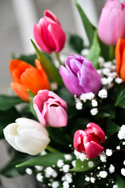 istock Colorful Tulips Presented In A Bouquet 2102648618