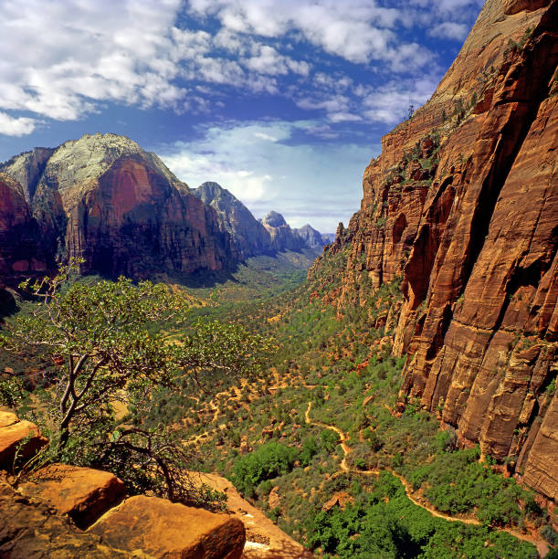 istock Zion Canyon National Park, Utah, USA 2102659697