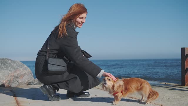 A beautiful red-haired girl walks near the sea and trains her funny Chihuahua dog. A woman with her pet spends time near the sea. Dog performs tricks for treats