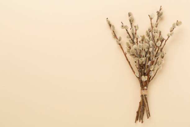 istock Pussy willow branches on color background, top, view. Palm Sunday concept 2102696755