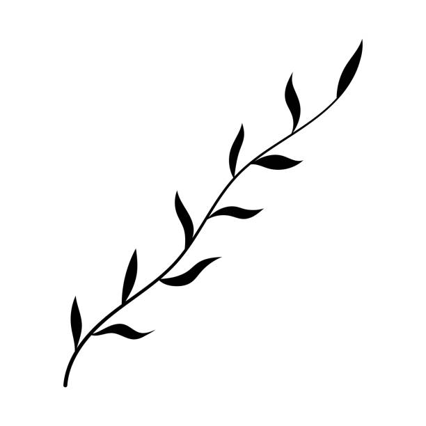 stockillustraties, clipart, cartoons en iconen met plant icon. black silhouette. front side view. vector simple flat graphic illustration. isolated object on a white background. isolate. - klimplant