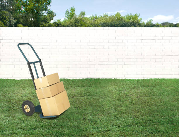 Arriving order on a hand truck with boxes on it in a green yard