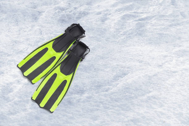 istock Scuba diving fins, flippers on a snow background 2102806246