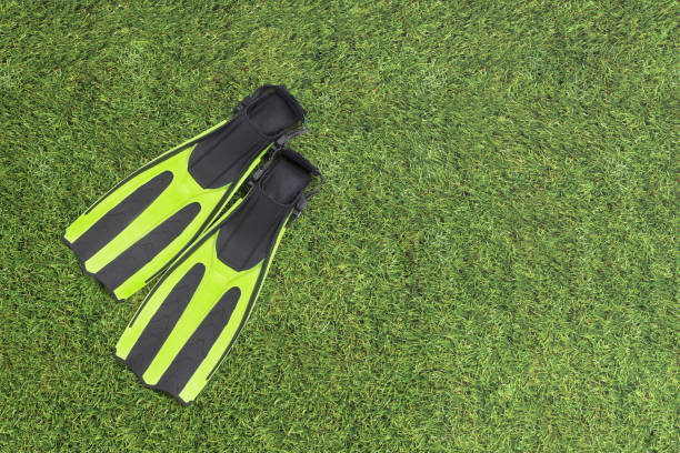 Scuba diving fins, flippers on a grass background