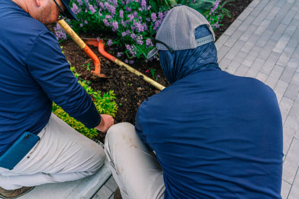 istock Two Workers with Blank-Back Work Shirts Digging in Soil to Replace a Flower Bed Sprinkler 2102828369