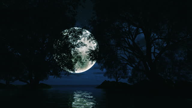 A nighttime forest on the water, illuminated by a bright moon