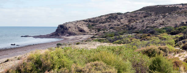 istock A seascape off Kangaroo Island 2102873307