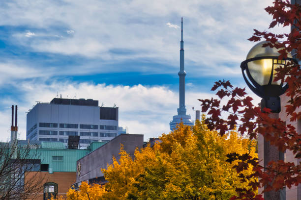 toronto, canada - 25 October 2022: the famous landmark of Toronto that can be seen from distance is the CN tower seen within other high buildings