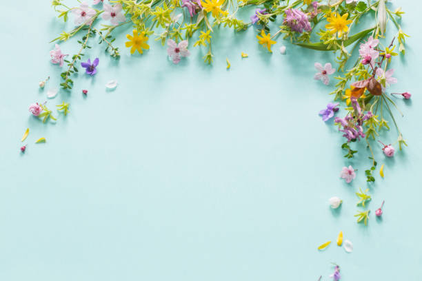 istock wild spring flowers on paper background 2102880155