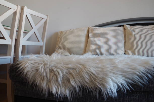 gray sofa with boucle upholstery fabric and white decorative fluted cushions. white rug or bedspread made of faux fur with a long pile. living room interior. wooden painted chairs. - homewares cushion fake fur blanket ストックフォトと画像