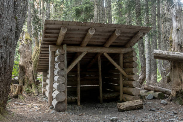 istock Rustic Shelter along Hiking Trail in Olympic National Park 2102940950