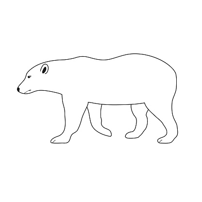 Vector flat hand drawn polar bear isolated on white background