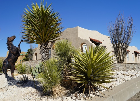 Carlsbad, New Mexico , USA -- March 13, 2024: Xeriscape yucca plants in the Chihuahua desert. An adobe building with red tile roof in New Mexico.