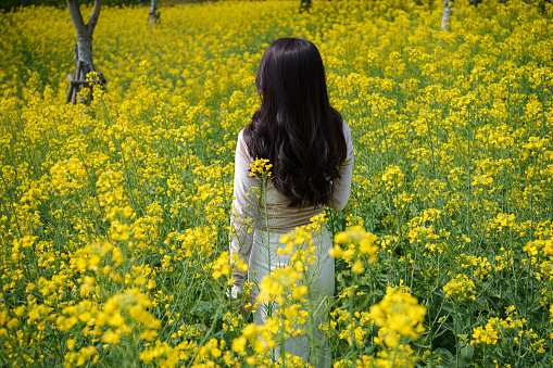 Woman's back in the sea of ​​flowers