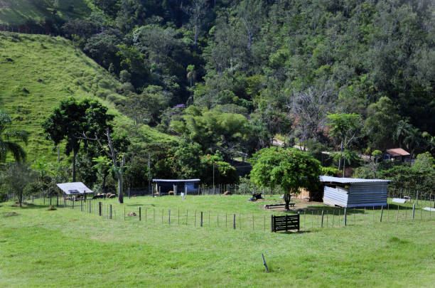 istock A goat and sheep barn in the countryside 2103132454