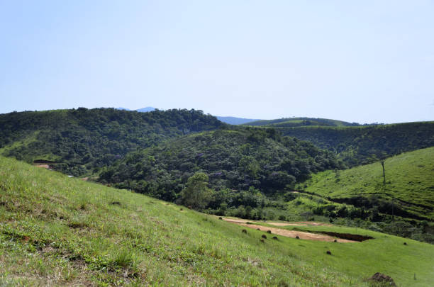istock Hills and mountains filled with grass and vegetation and trees 2103133513