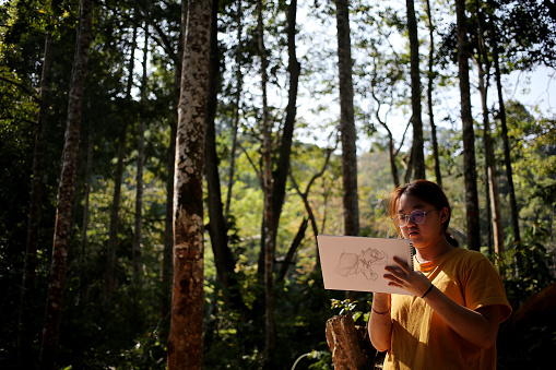 An Asian teenage girl is enjoying drawing nature beauty in the forest