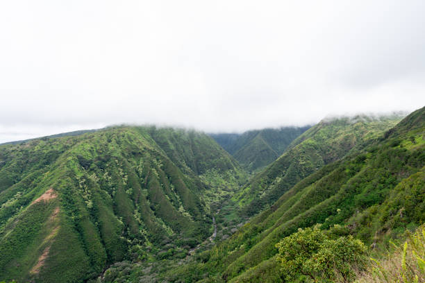 istock Lush Green Hawaiian Ridges 2103159514