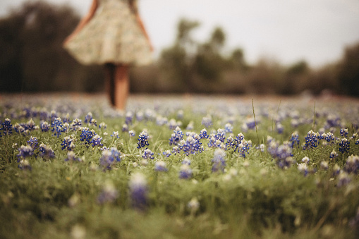 Young woman in a sundress walking through bluebonnet field in Texas