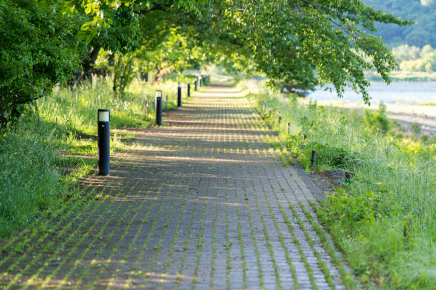 istock Sunlight shining from a green tree and promenade 2103200079