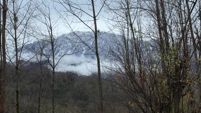 Low level cloud in a hazy day in mountain environment the peak in background of the scenic winter landscape in Hyrcanian forest in Iran rural village countryside tree branch bloom in spring season