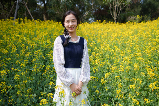 Free Stock Photo of Woman Standing in Field of Yellow Flowers ...