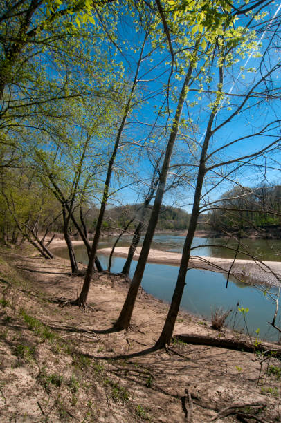 istock Castlewood SP - River Scene Trail in Spring - River & Sandbar Vertical 2103235459
