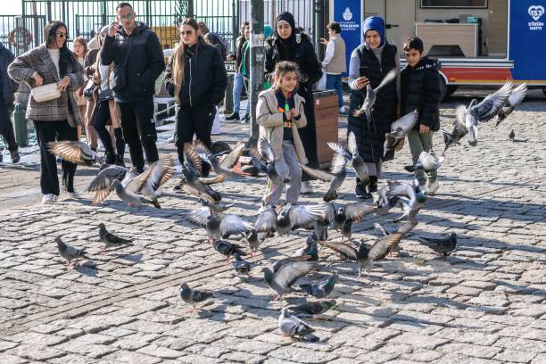 IIstanbul, Turkey - December 29, 2022: Lively City Square with Pigeons, People, and Architectural Beauty.