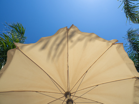 White beach umbrella and palm trees. Blue sky in the background. View from below. Relaxing context. Summer holidays by the sea. General contest and location